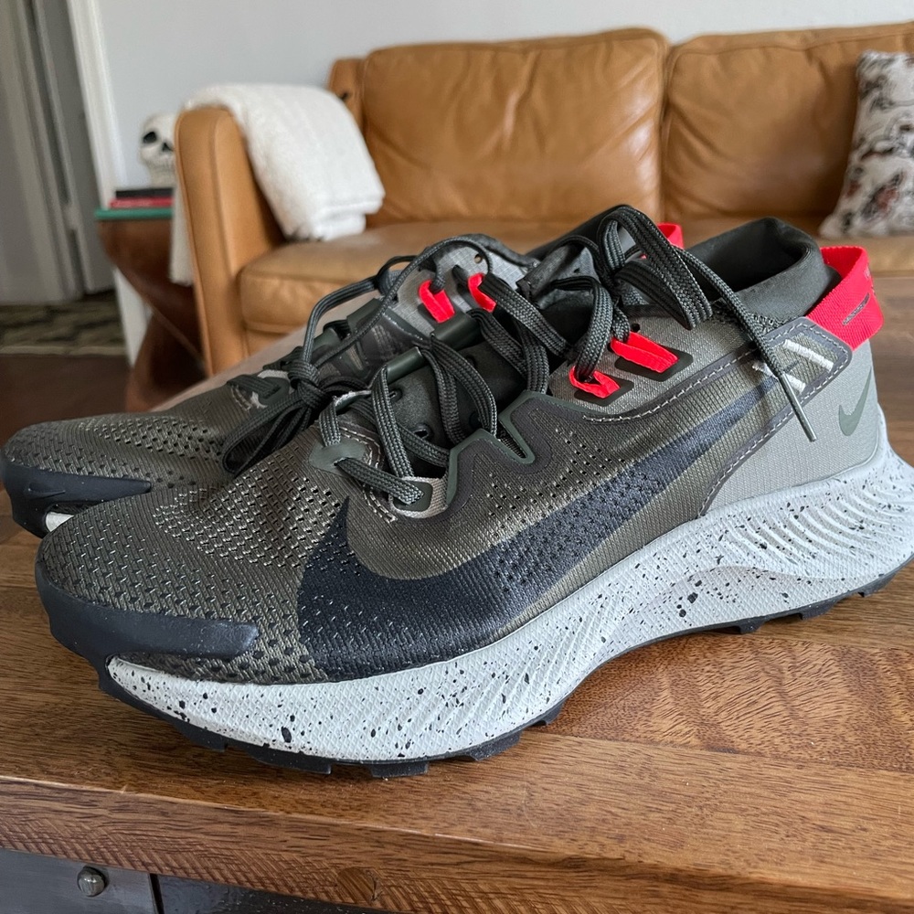 Nike pegasus